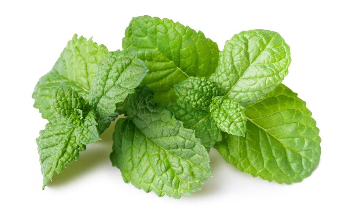 Menthe Fraîche Pièce