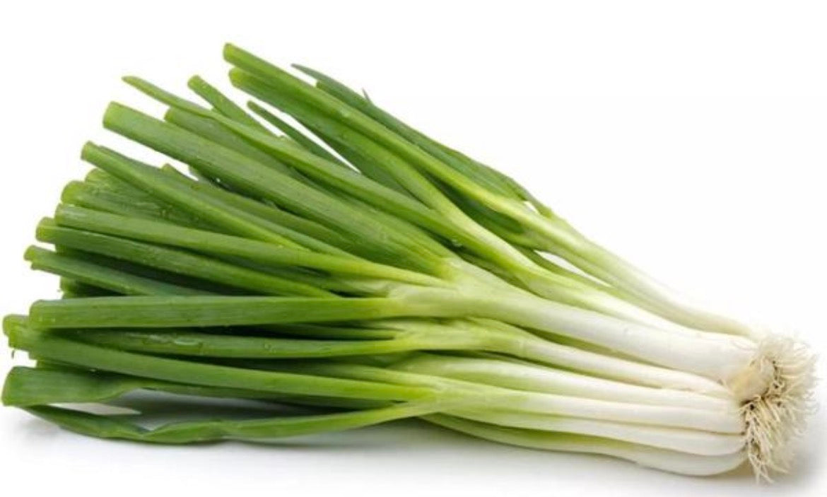 Oignons Cebettes