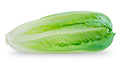 Salade Romaine 2 Pièces