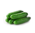 Mini Concombres 1kg