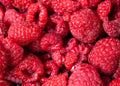 Framboises 125g