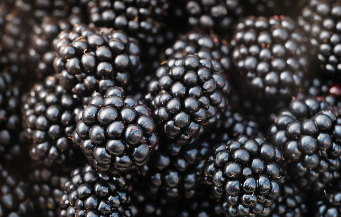 Mûres 125g