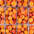 Abricots Espagne 1kg