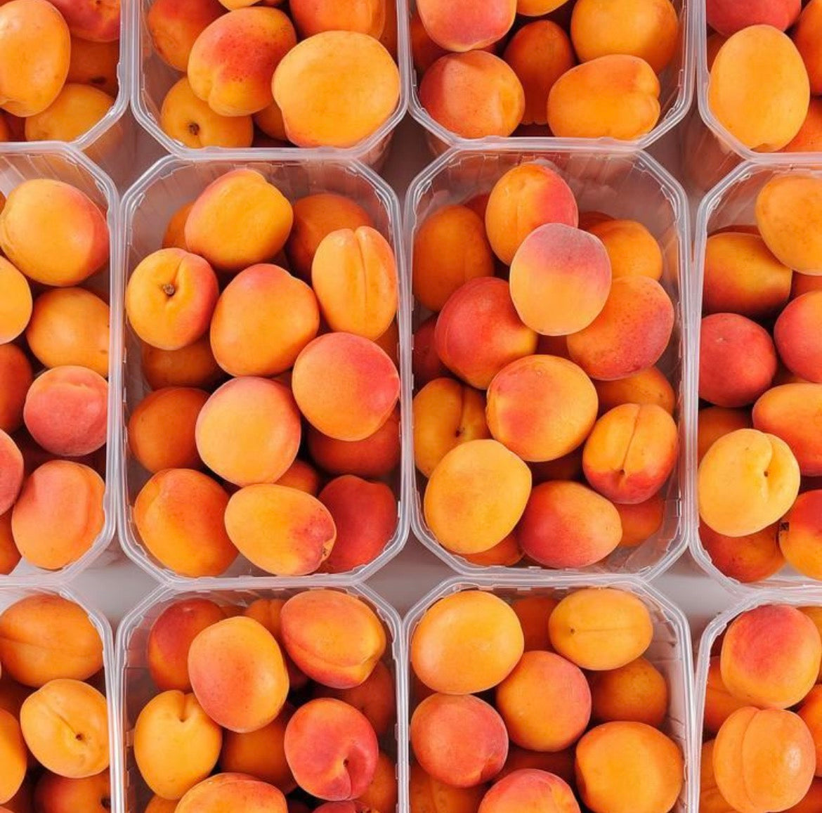 Abricots Espagne 1kg