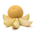 Melon Turquie Golia 1kg