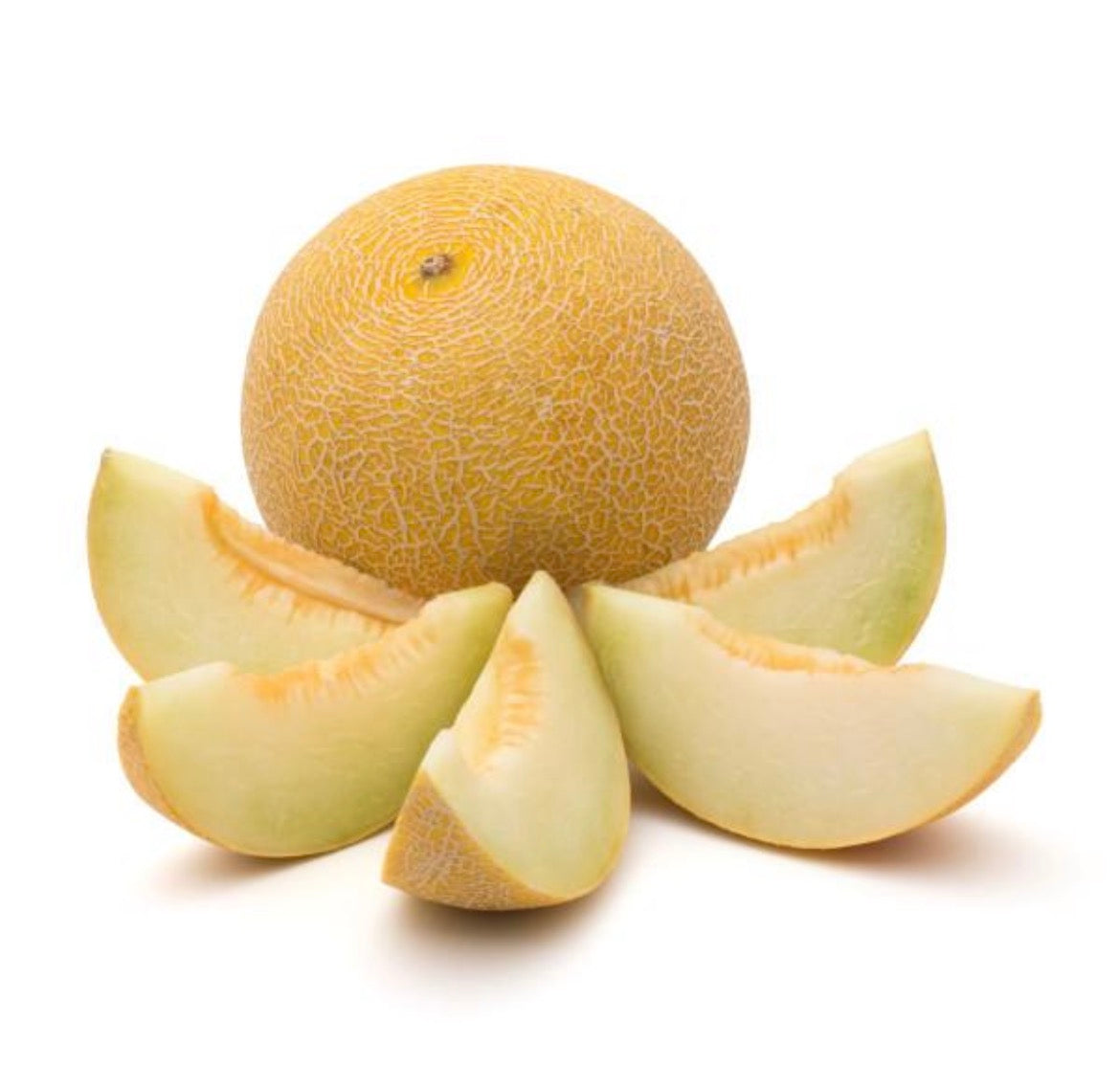 Melon Turquie Golia 1kg