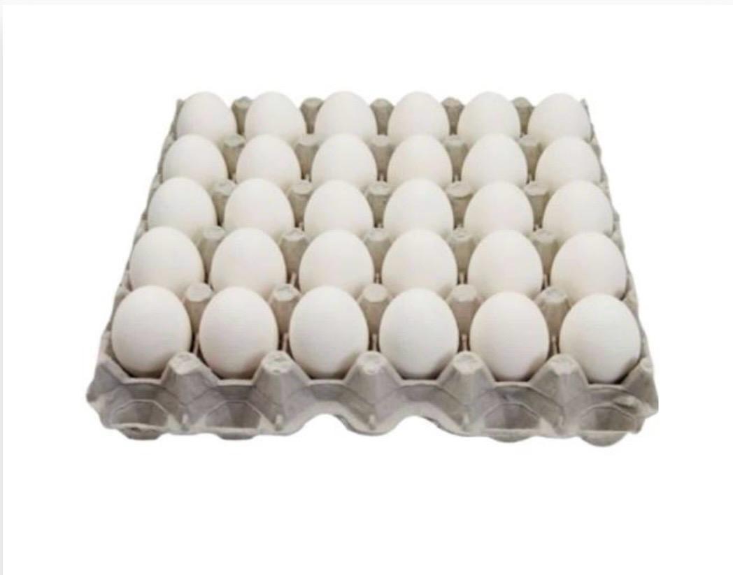 Œufs blancs x30 – Œufs frais de consommation